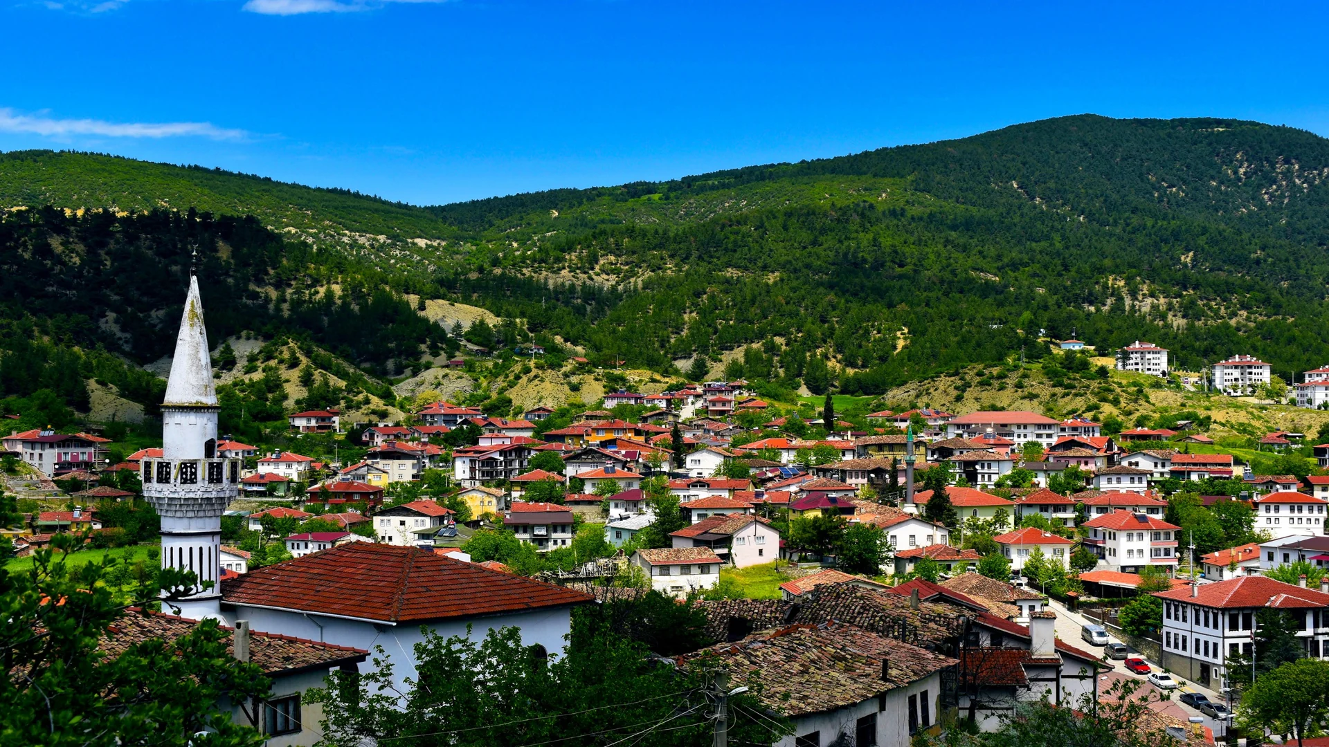 Sakarya ’da Konut ve Tarım Arazisi Yatırım Fırsatları